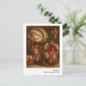 Vintage Anatomie | Kopf und Neck Postkarte (Stehend Vorderseite)