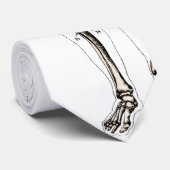 Vintage Anatomie Krawatte (Gerollt)