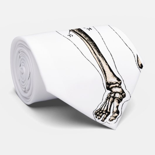 Vintage Anatomie Krawatte (Gerollt)
