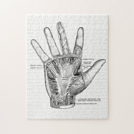 Vintage Anatomie-Kunst die Palme der Hand Puzzle (Vertikal)