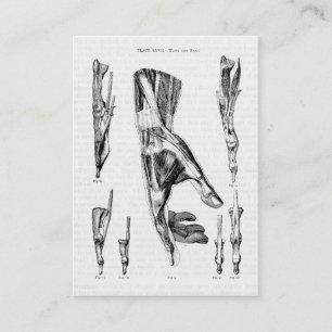Vintage Anatomie Kunst Hand- und Handgelenkmuskeln Visitenkarte