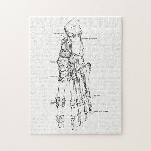 Vintage Anatomie-Kunst-Knochen des Fußes Puzzle (Vertikal)