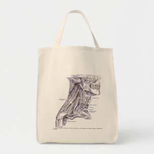 Vintage Anatomie Kunst Muskeln des Halses Sepia Tragetasche