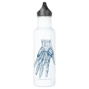 Vintage Anatomie-Kunst-Muskeln des Handblaus Edelstahlflasche