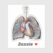 Vintage Anatomie Lunge Herzorgane Blut Aufkleber (Blatt)