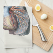 Vintage Anatomie Lunge Herzorgane Blut Geschirrtuch (Viertel Falte)
