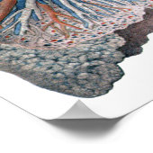 Vintage Anatomie Lunge Herzorgane Blut Poster (Ecke)