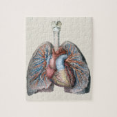 Vintage Anatomie Lunge Herzorgane Blut Puzzle (Vertikal)