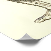 Vintage Anatomie | Muskeln der Leber II Poster (Ecke)