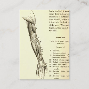 Vintage Anatomie Muskeln des Arms (um 1852) Visitenkarte