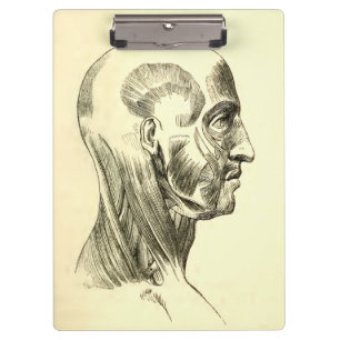 Vintage Anatomie Muskeln des Kopfes (circa 1852) Klemmbrett
