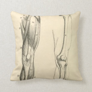 Vintage Anatomie Muskeln und Knochen des Beins Kissen