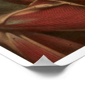 Vintage Anatomie | Nacken und Schultern Poster (Ecke)