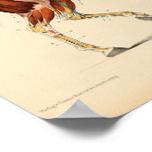 Vintage Anatomie Poster (Ecke)