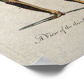 Vintage Anatomie Poster (Ecke)