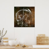 Vintage Anatomie  Poster (Küche)