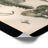 Vintage Anatomie Poster (Ecke)