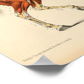 Vintage Anatomie Poster (Ecke)