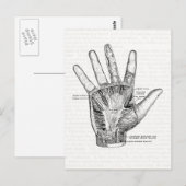 Vintage Anatomie Postkarte (Vorne/Hinten)