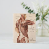 Vintage Anatomie Postkarte (Stehend Vorderseite)