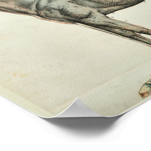 Vintage Anatomie-Punkte Poster (Ecke)