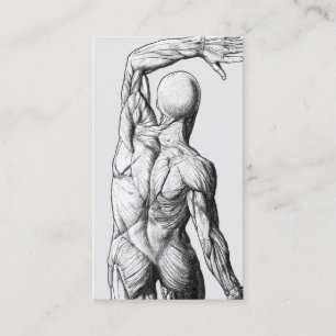 Vintage Anatomie Rücken Chiropraktik Chiropraktike Visitenkarte
