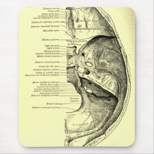 Vintage Anatomie Schädelbasis Innere Oberfläche Mousepad