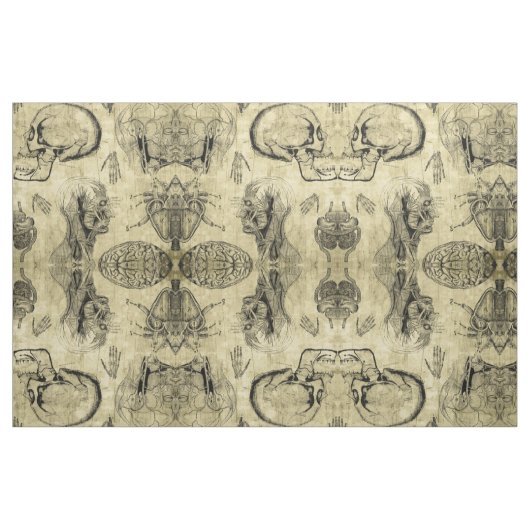 Vintage Anatomie Stoff (Yard (91,4 cm))