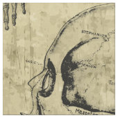 Vintage Anatomie Stoff (Nahaufnahme)