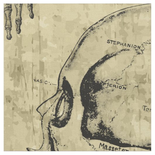 Vintage Anatomie Stoff (Nahaufnahme)