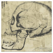 Vintage Anatomie Stoff (Muster)