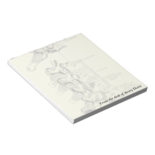 Vintage Anatomie | Vertebrae Notizblock (angewinkelt)