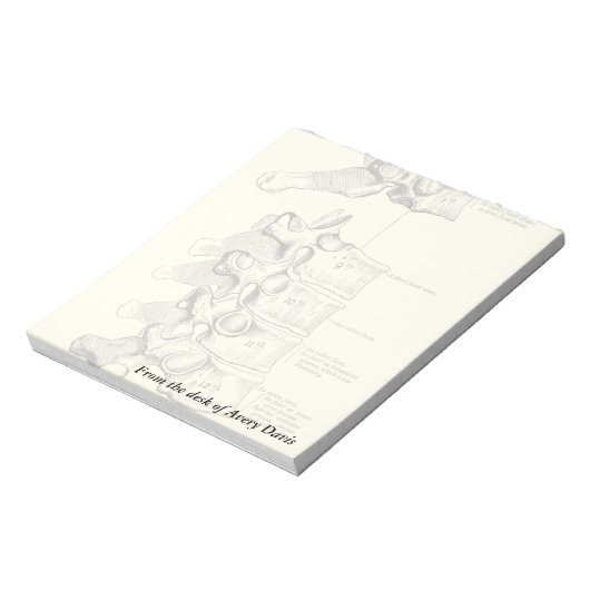 Vintage Anatomie | Vertebrae Notizblock (Rotiert)