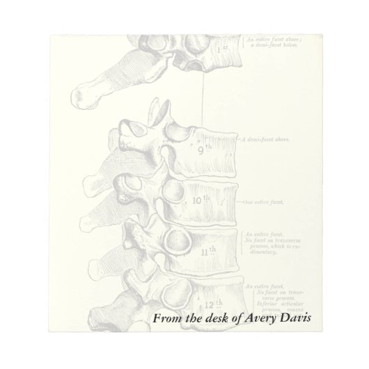 Vintage Anatomie | Vertebrae Notizblock (Vorderseite)