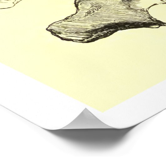 Vintage Anatomie | Vertebrae Poster (Ecke)