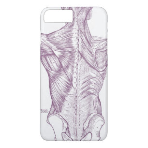 Vintage Anatomie, welche die Rückenmuskel lila Case-Mate iPhone Hülle