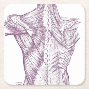 Vintage Anatomie, welche die Rückenmuskel lila Rechteckiger Pappuntersetzer