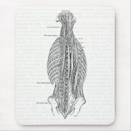 Vintage Anatomie, welche die Rückseite zeichnet Mousepad