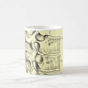 Vintage Anatomie Wirbel Kaffeetasse