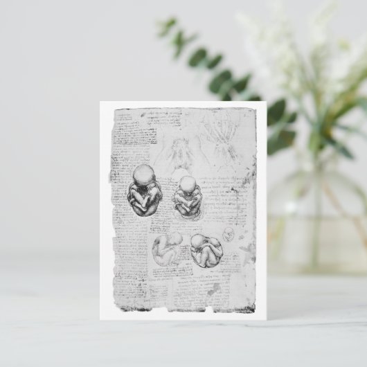 Vintage Anatomie zeichnend Fötus Postkarte (Stehend Vorderseite)