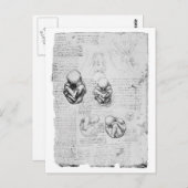 Vintage Anatomie zeichnend Fötus Postkarte (Vorne/Hinten)