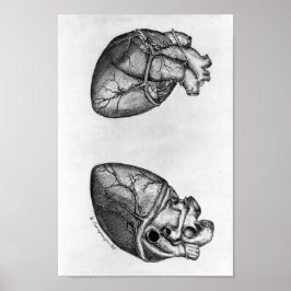 Vintage anatomische Illustration Poster