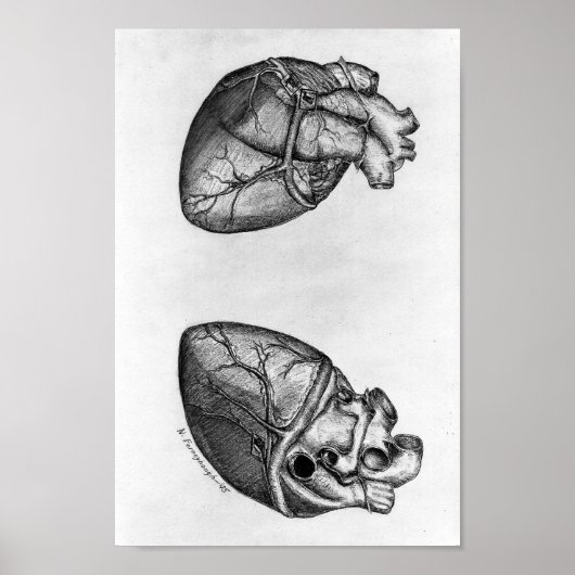 Vintage anatomische Illustration Poster (Vorne)