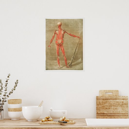Vintage anatomische Illustration Poster (Küche)