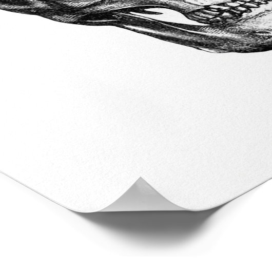 Vintage anatomische Illustration Poster (Ecke)