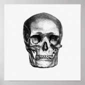 Vintage anatomische Illustration Poster (Vorne)