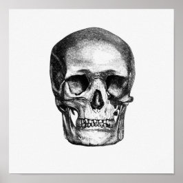 Vintage anatomische Illustration Poster