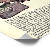 Vintage anatomische Illustration Poster (Ecke)