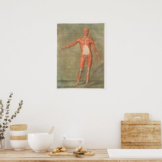 Vintage anatomische Illustration Poster (Küche)