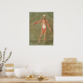 Vintage anatomische Illustration Poster (Küche)